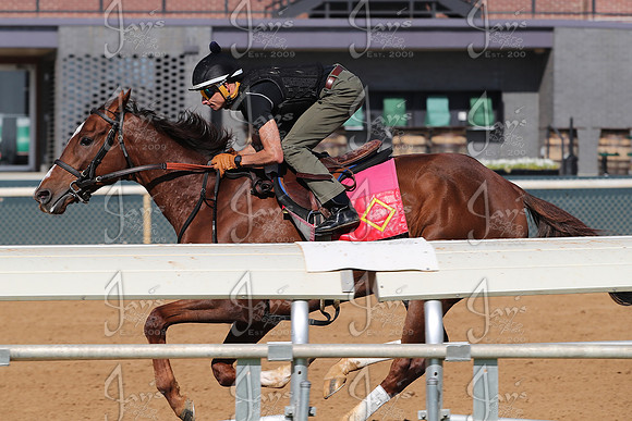 Apple Blossom Stakes Day 4-12-25_JWM_0057