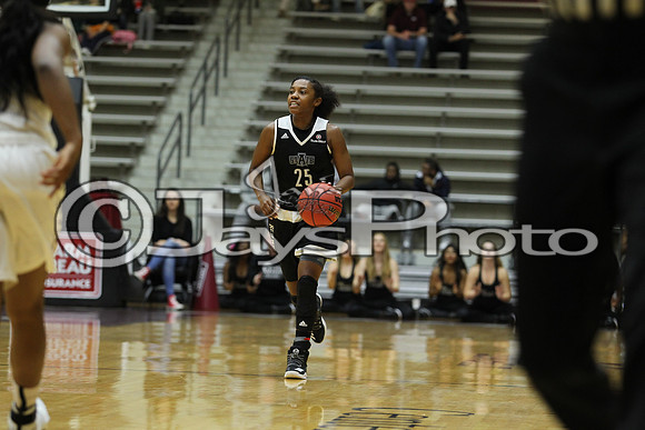 Arkansas State @ Little Rock Women's Basketball 1-14-17_JWM_00167