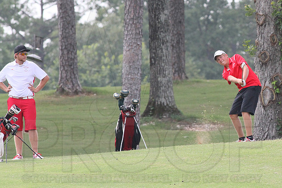 Glen Rose Golf-Cortez golf course (Hot Springs Village) 8-8-13 (© Justin Manning) JWM0036 0036