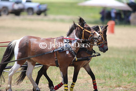 Whiskey Ridge (Chuckwagon Races) 5-27-23_JWM_0471