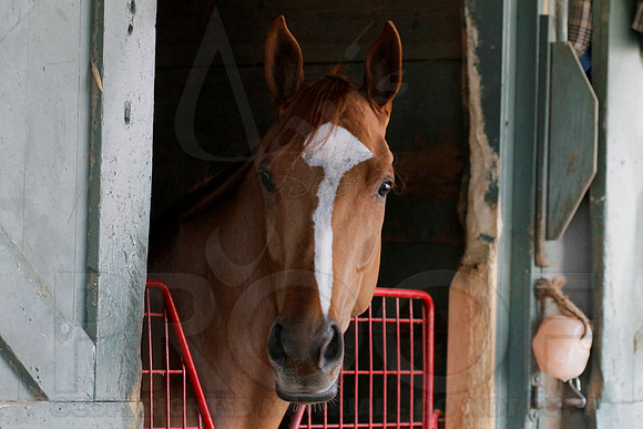Oaklawn 1-11-13 (Justin Manning)0008