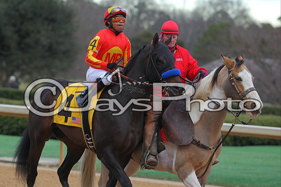 Oaklawn Smarty Jones Stakes 1-18-2016 (©Justin Manning) JWM_(0253