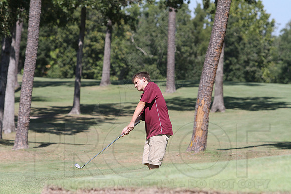 6-3A District golf(© Justin Manning) JWM0130