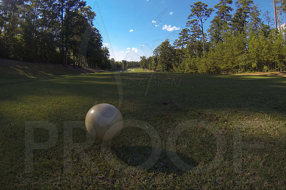6-3A District golf(© Justin Manning) JWM0898