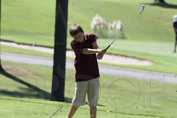 6-3A District golf(© Justin Manning) JWM0154