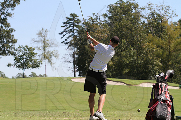 6-3A District golf(© Justin Manning) JWM0168