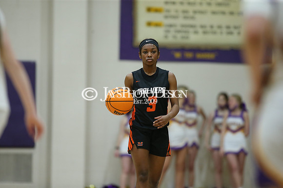 Malvern @ Fountain Lake 1-26-21_JWM_0403