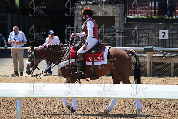 z250412_AppleBlossomDay_JWM_0611