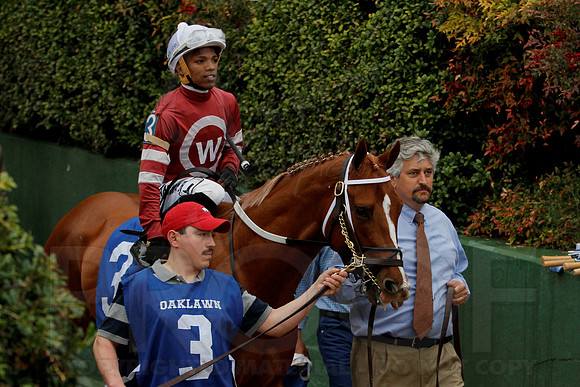 Rebel Stakes 3-15-14 3-15-2014 (© Justin Manning) JWM_0014