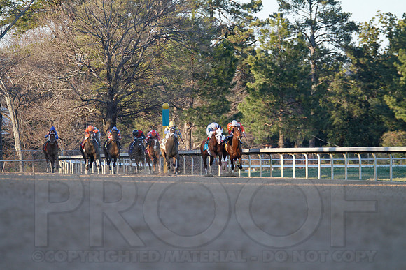 Oaklawn 1-21-13 (Smarty Jones Stakes) (Justin Manning)0216