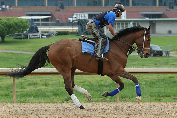 Arkansas Derby 4-11-2014 (© Justin Manning) JWM_0182