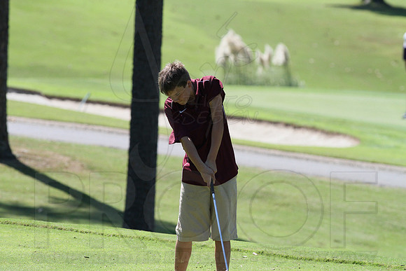6-3A District golf(© Justin Manning) JWM0153