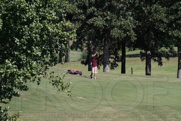 6-3A District golf(© Justin Manning) JWM0335