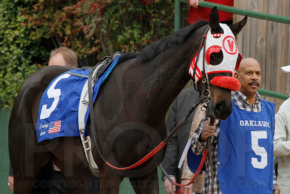 Fantasy Stakes 4-5-2014 (© Justin Manning) JWM_0462
