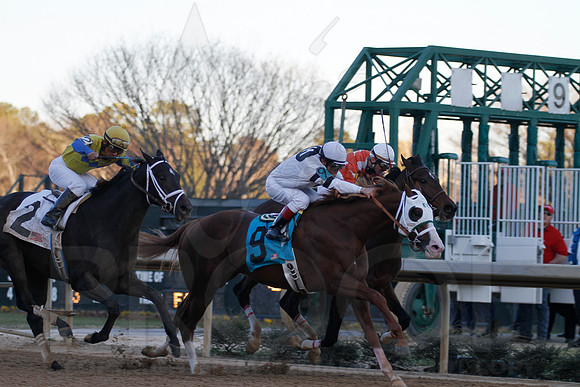Oaklawn 1-21-13 (Smarty Jones Stakes) (Justin Manning)0293