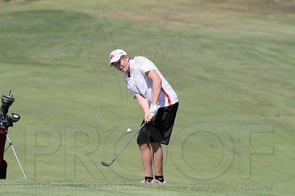 6-3A District golf(© Justin Manning) JWM0088