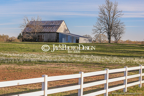 Barns 3-25-20_0044