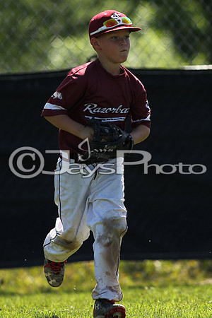 South Arkansas Razorbacks vs. Bryant Hornets (Game 2)_0116