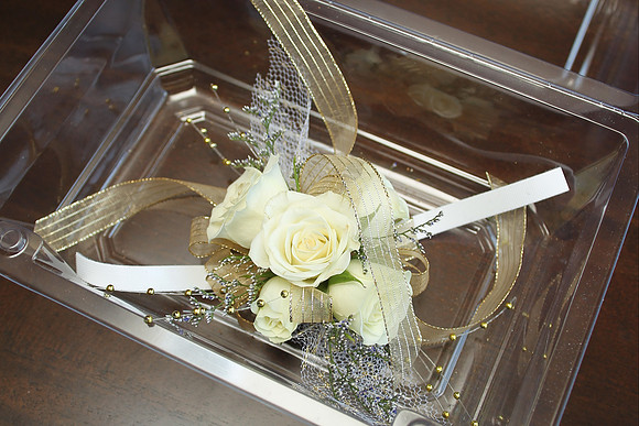 Savannah Prom_0006