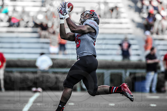ASU @ Auburn 9-7-13 (© Justin Manning) JWM0128