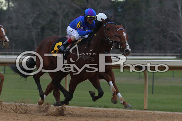 Oaklawn Smarty Jones Stakes 1-18-2016 (©Justin Manning) JWM_(0456