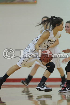 Glen Rose vs. Perryville Girls 3A District Tournament 2-20-2015 (©Justin Manning) JWM_125