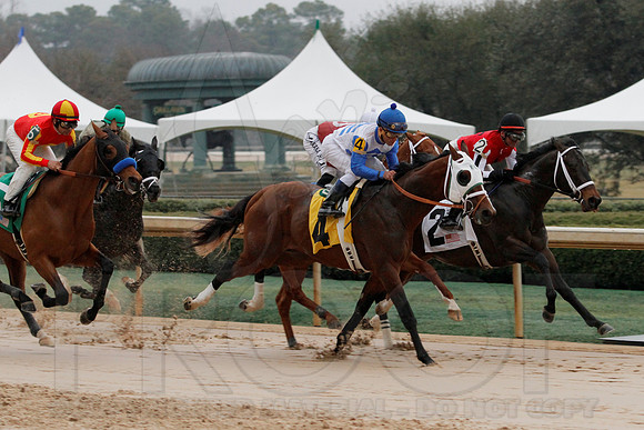 Rebel Stakes 3-15-14 3-15-2014 (© Justin Manning) JWM_0194