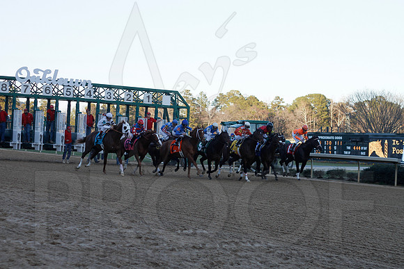 Oaklawn 1-21-13 (Smarty Jones Stakes) (Justin Manning)0208