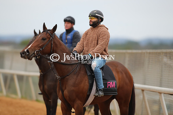 z250104_SmartyJonesStakesDay _JWM_0078