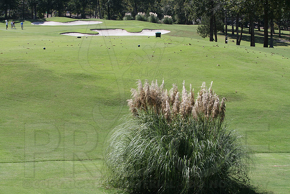 6-3A District golf(© Justin Manning) JWM0124