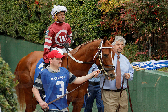 Rebel Stakes 3-15-14 3-15-2014 (© Justin Manning) JWM_0017