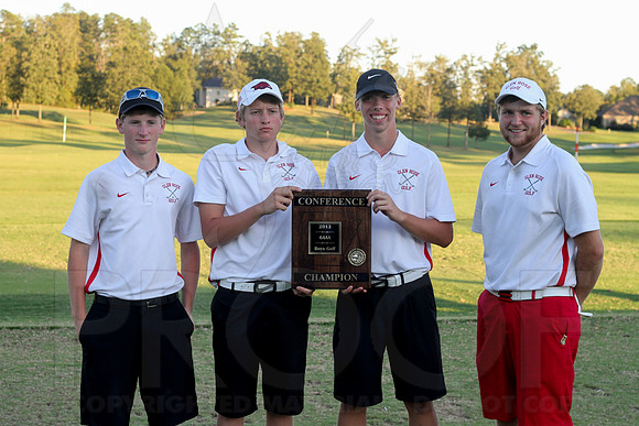 6-3A District golf(© Justin Manning) JWM0607