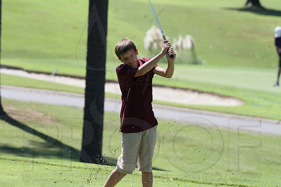 6-3A District golf(© Justin Manning) JWM0155