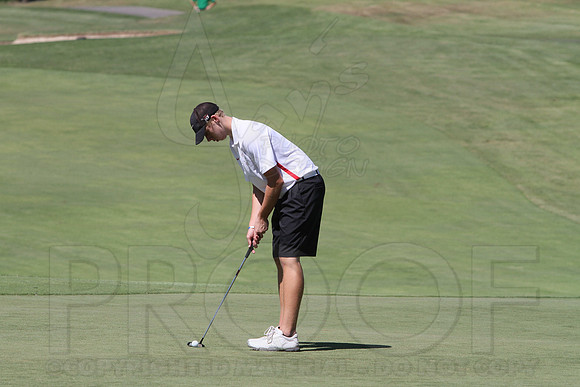 6-3A District golf(© Justin Manning) JWM0132