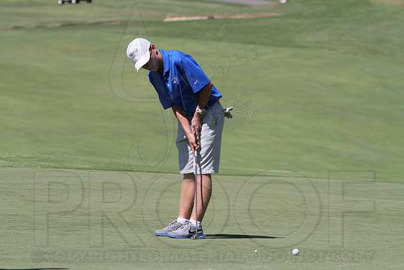 6-3A District golf(© Justin Manning) JWM0138