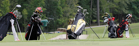 Cortez Golf Course (Hot Springs Village) 8-14-12 010(Justin Manning)