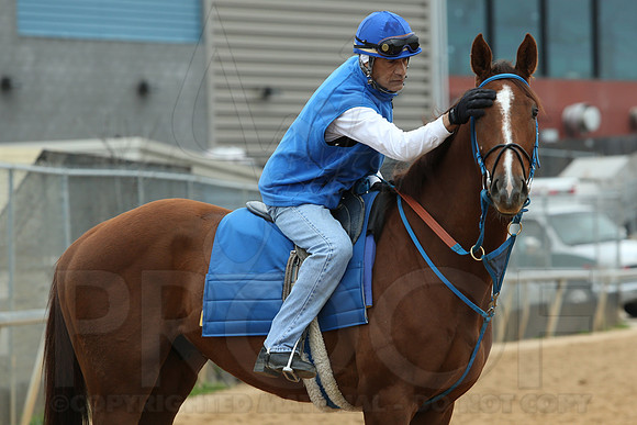 Arkansas Derby 4-11-2014 (© Justin Manning) JWM_0213