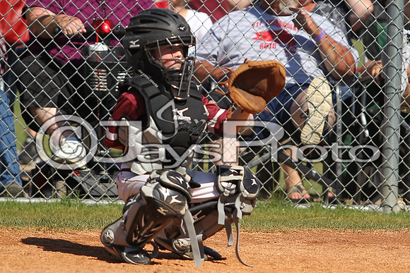 South Arkansas Razorbacks vs. Bryant Hornets (Game 2)_0175