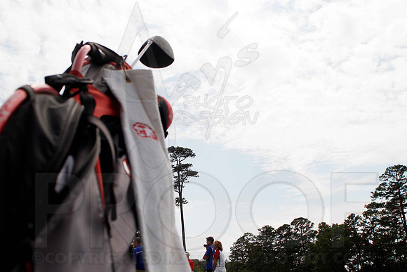 Cortez Golf Course (Hot Springs Village) 8-14-12 014(Justin Manning)