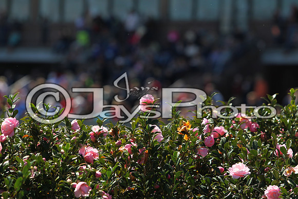 JWM_160319-rebel_JWM_036