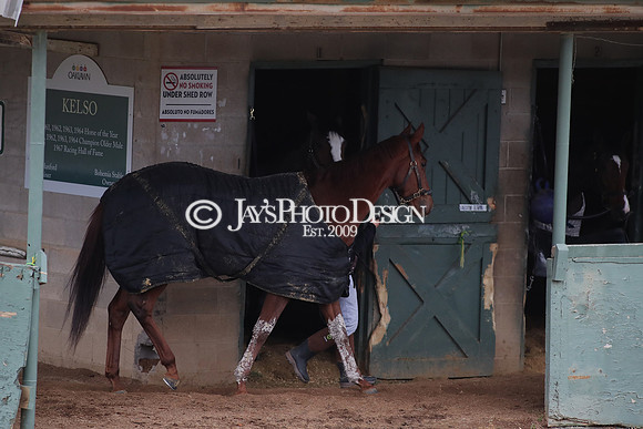 z250104_SmartyJonesStakesDay _JWM_0180