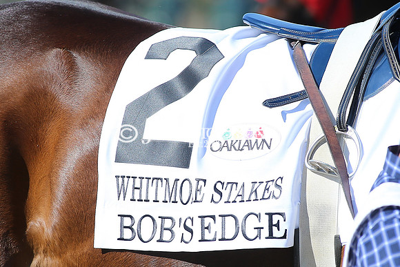 z220319_WhitmoreStakesday_Manning_0265
