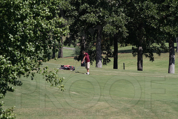6-3A District golf(© Justin Manning) JWM0332