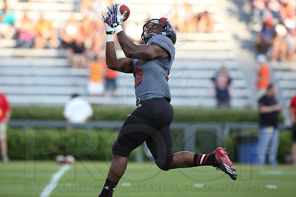 ASU @ Auburn 9-7-13 (© Justin Manning) JWM0128