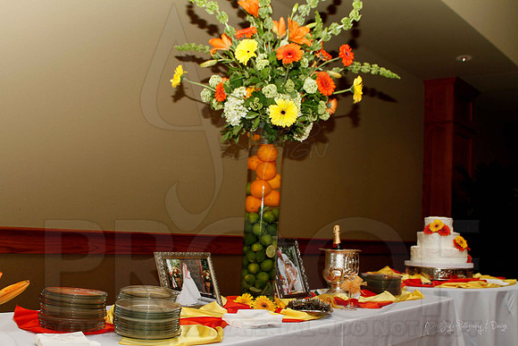 Stephens Wedding Reception 6-2-12 (Justin Manning)016