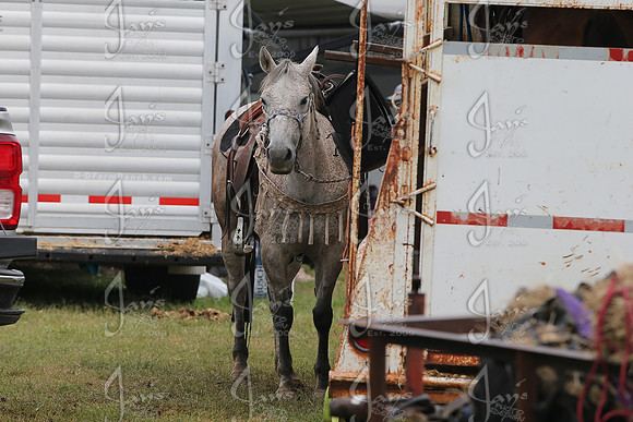 Whiskey Ridge Ranch (Chuckwagon Races) 5-25-25_JWM_1187