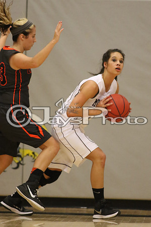 Lamar vs. Perryville Girls 3A State 3-6-2015 (©Justin Manning) JWM_033