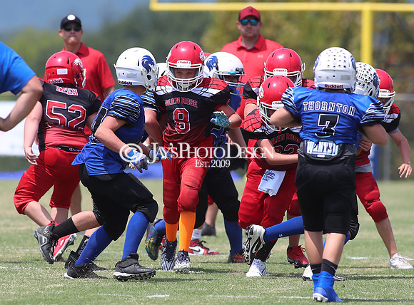 6th Grade Peewee Football (Glen Rose @ Bismarck) 8-24-24_JWM_0310