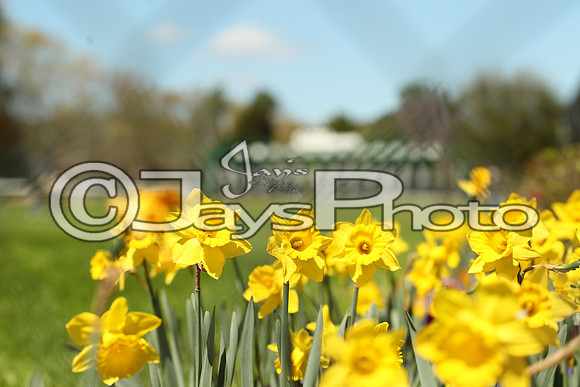 JWM_160319-rebel_JWM_027
