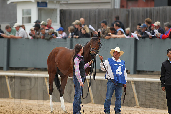 1358JWM_160416_arkansasderby_1358